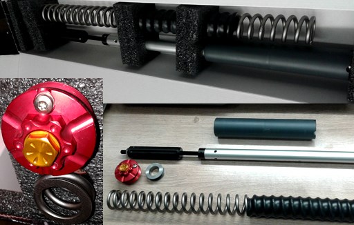 Andreani spring kit WP & Showa